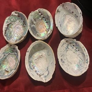 Abalone she’ll. Great jewelry holders